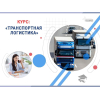 Курс «Транспортная логистика»: профессия с высоким спросом за несколько недель