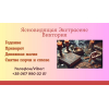 Ясновидящая Киев. Приворот Киев. Снятие порчи Киев.