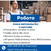 Робота на харчовому виробництві з безкоштовним проживанням у с. Щасливе