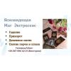 Ясновидящая в Одессе. Гадание, приворот, снятие порчи.